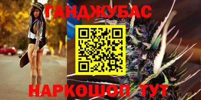 гашик Будённовск