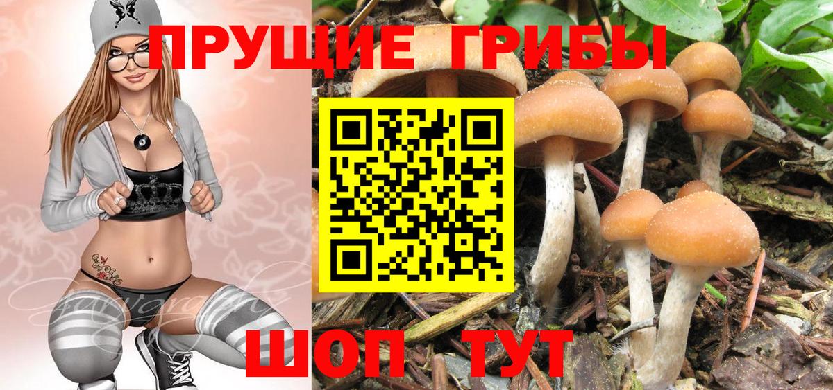 Псилоцибиновые грибы Magic Shrooms Кудымкар