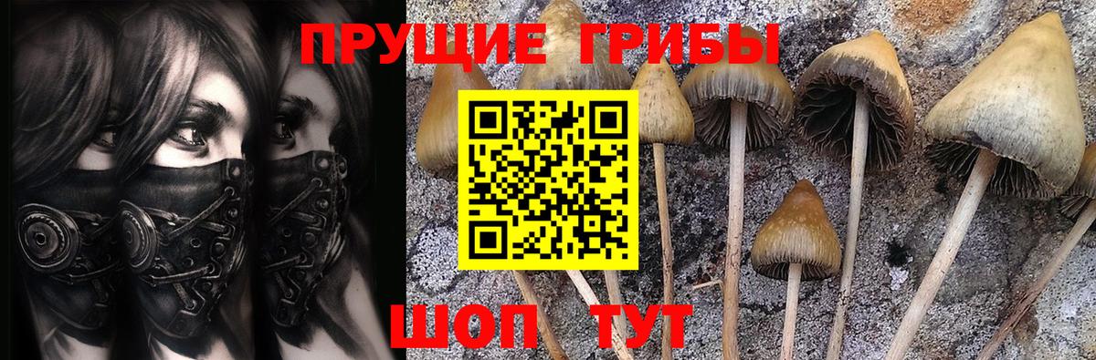 Кудымкар  Псилоцибиновые грибы MAGIC MUSHROOMS  Вход с VPN 